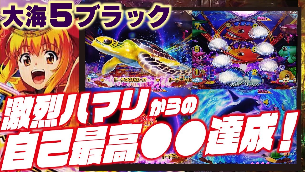 【前兆少なめ】P大海物語5 ブラック 2023/12/10【カスタムだい！】
