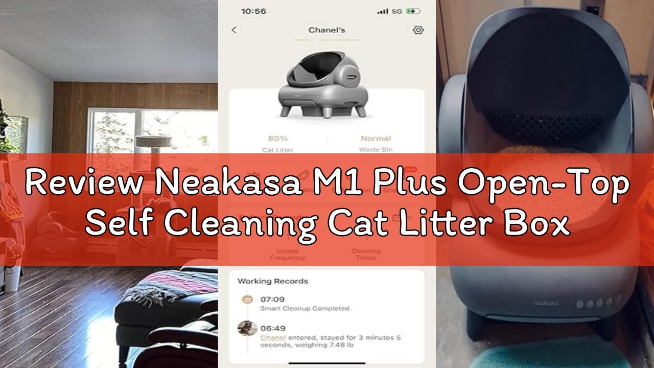 Review Neakasa M1 Plus Open-Top Self Cleaning Cat Litter Box, Automatic Cat Litter Box with APP Cont