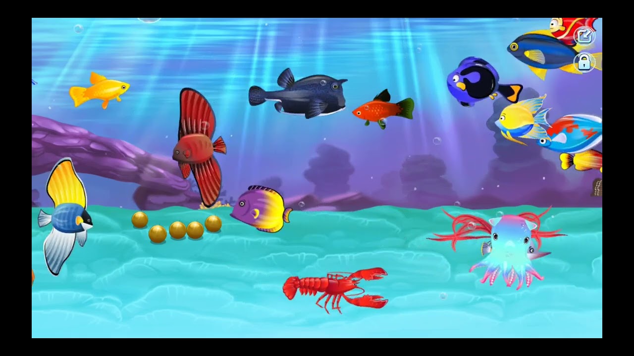 more more fishes now