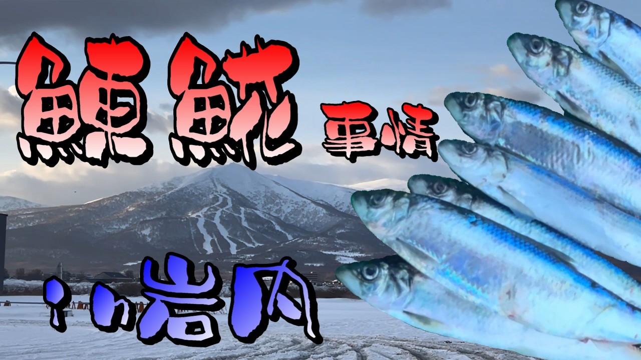 鰊・𩸽事情　in岩内