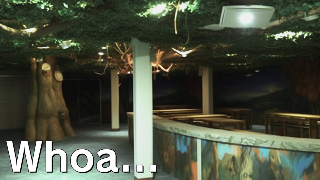 You Thought The Rainforest Café Was Liminal?