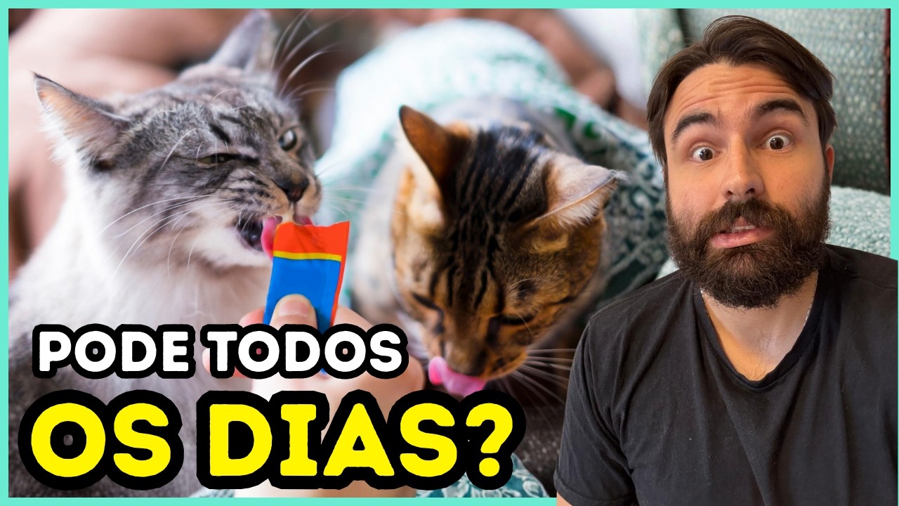 Os gatos podem comer petisco cremoso todos os dias?
