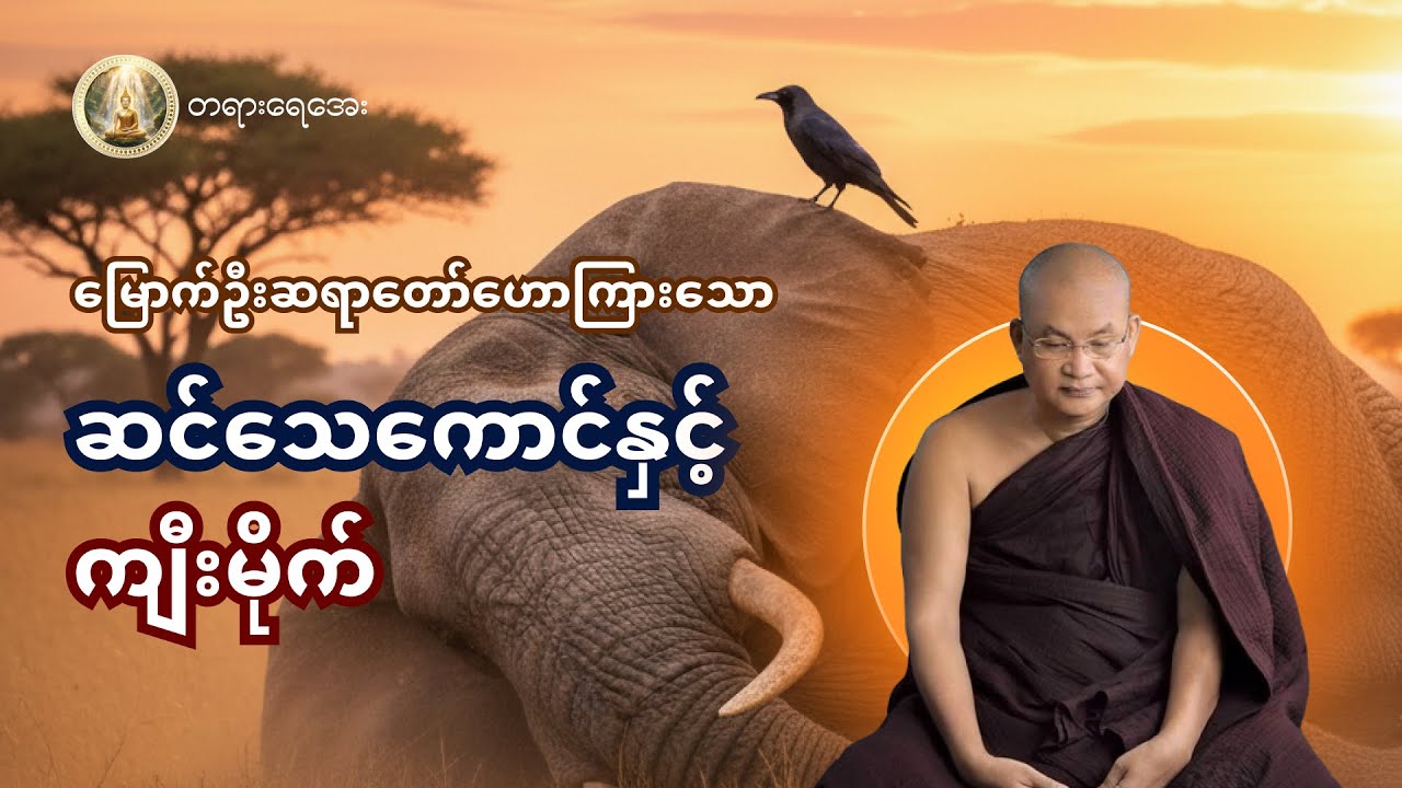 သင်ခန်းစာ ယူဖွယ် ဆင်သေကောင်နှင့်ကျီးမိုက် တရားတော် | မြောက်ဦးဆရာတော် 🙏🏻