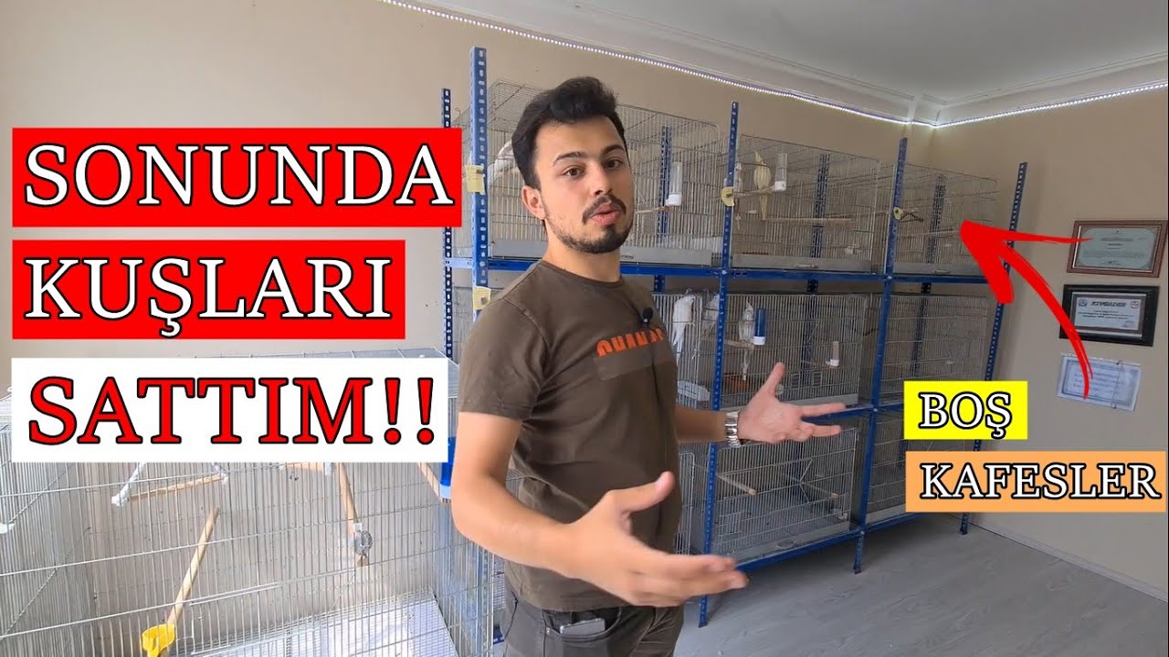 ÜRETİMHANEYİ İLK KEZ GÖSTERİYORUM!! (Sultan Papağanı Üretimhane ve Çiftler)