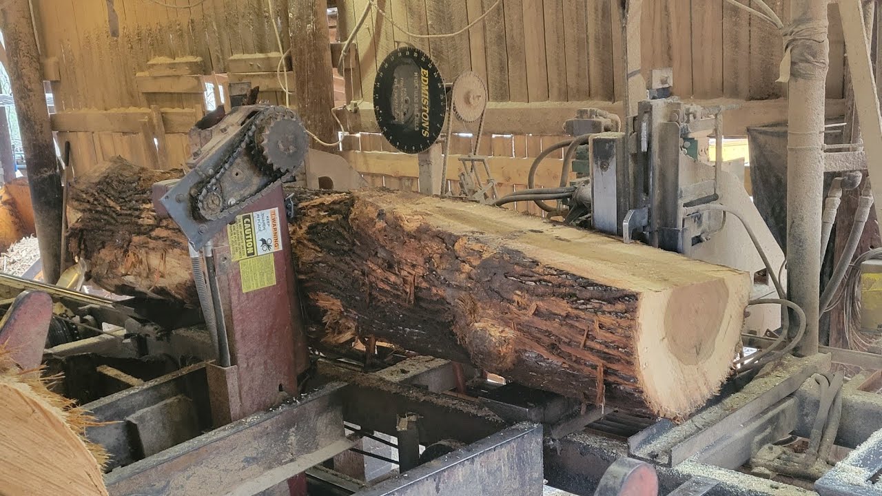 Sawing real nice, big, straight poplar #116