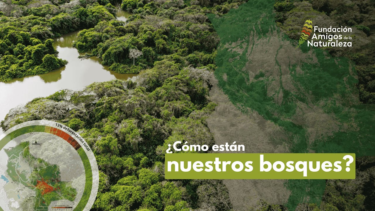 Realizando una biografía de los bosques bolivianos