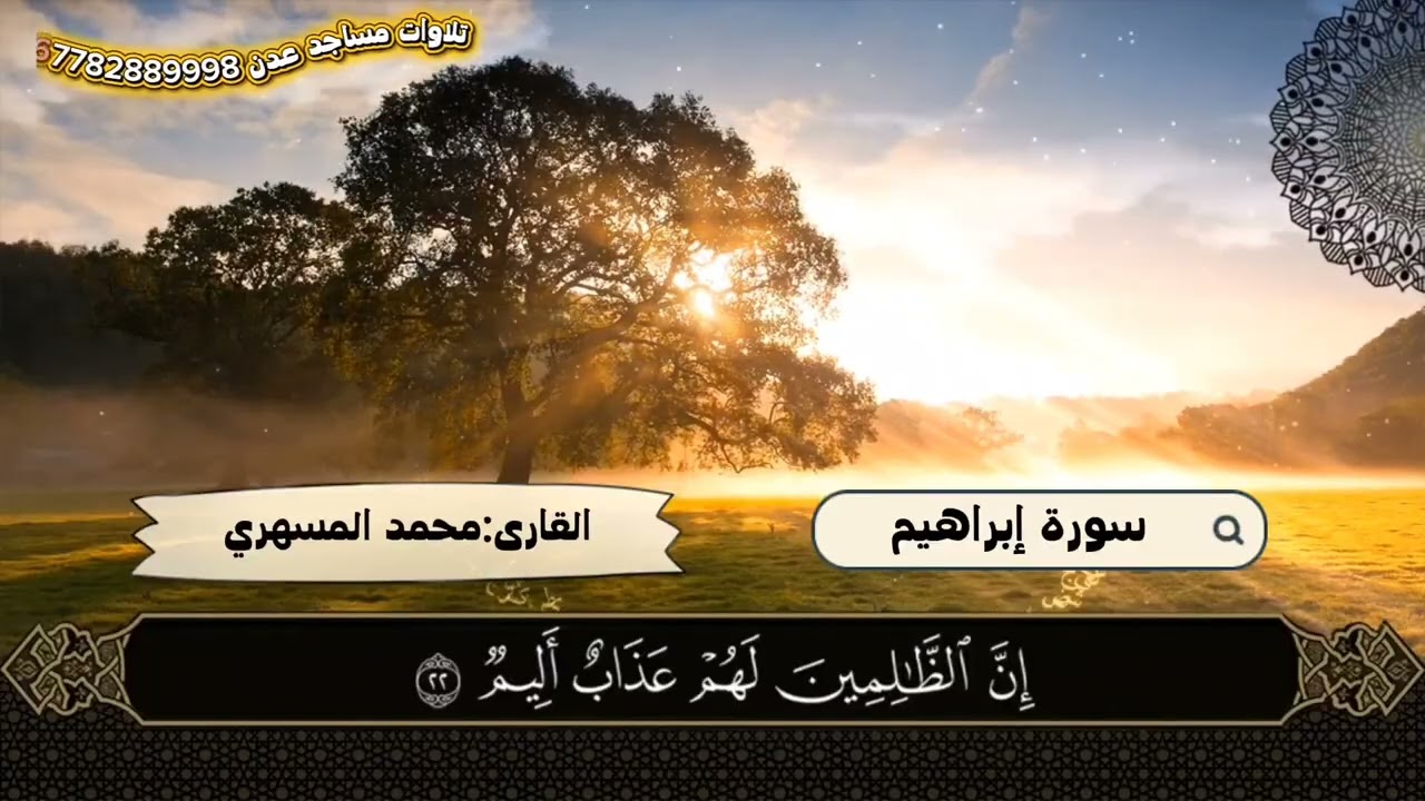🌙من صلاة التراويح لعام ١٤٤٧🌙🎙️محمد المسهري {سورة إبراهيم} #تلاوات_مساجد_عدن #صلاة_التراويح