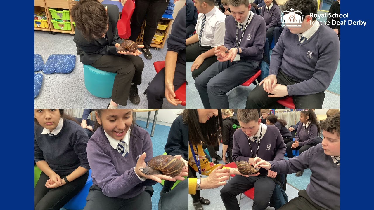 BSL Newsround - February and March 2025