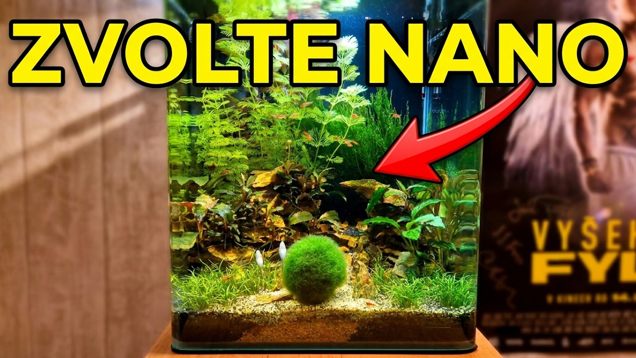 Nano akvárium - Proč si ho vybrat?