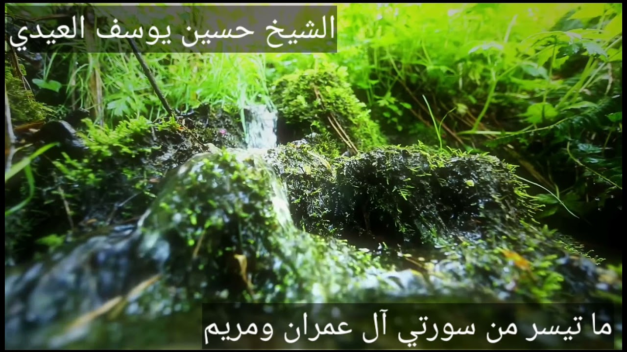 ما تيسر من سورتي آل عمران ومريم لفضيلة الشيخ حسين يوسف العيدي