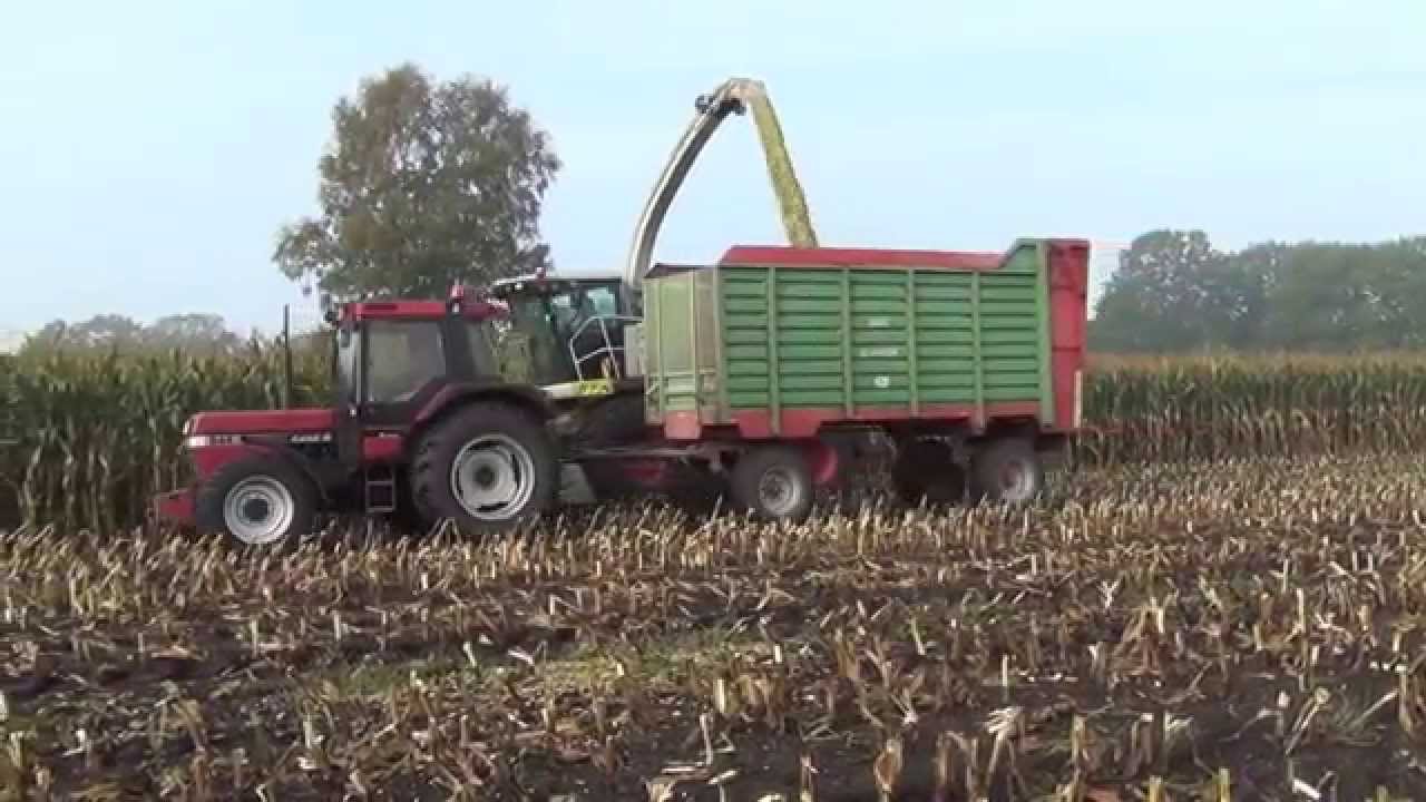 LU Enno Brunken bei der Maisernte 2014 in Neuenburgerfeld