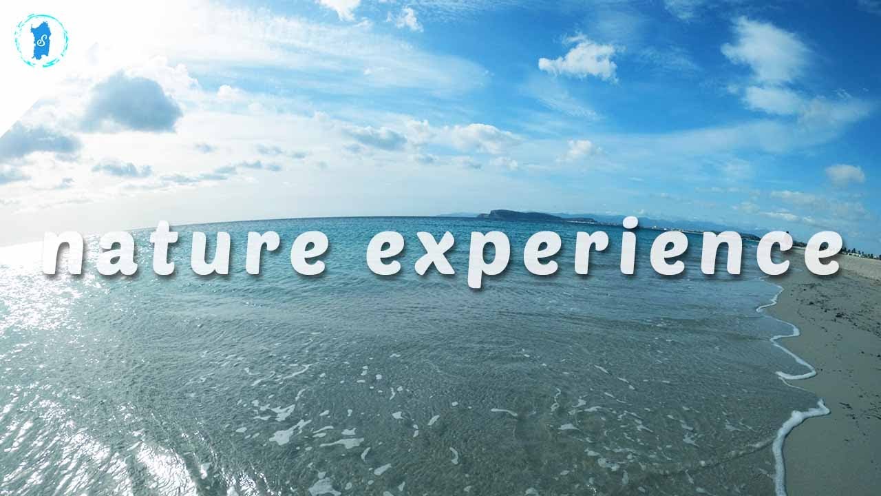 Nature Experience: beautiful and wild windy day in Sardinian sea (Margine Rosso) 4K