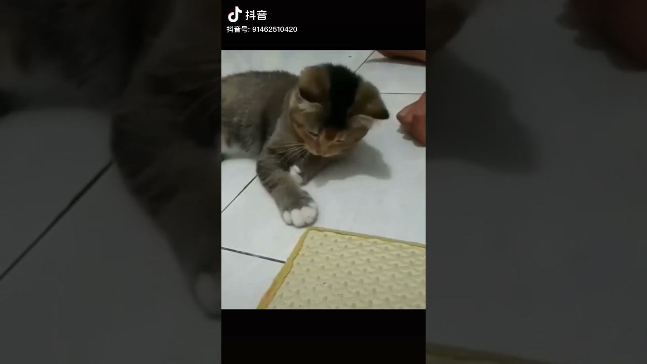 1 lần th&ocirc;i nha🧐🧐