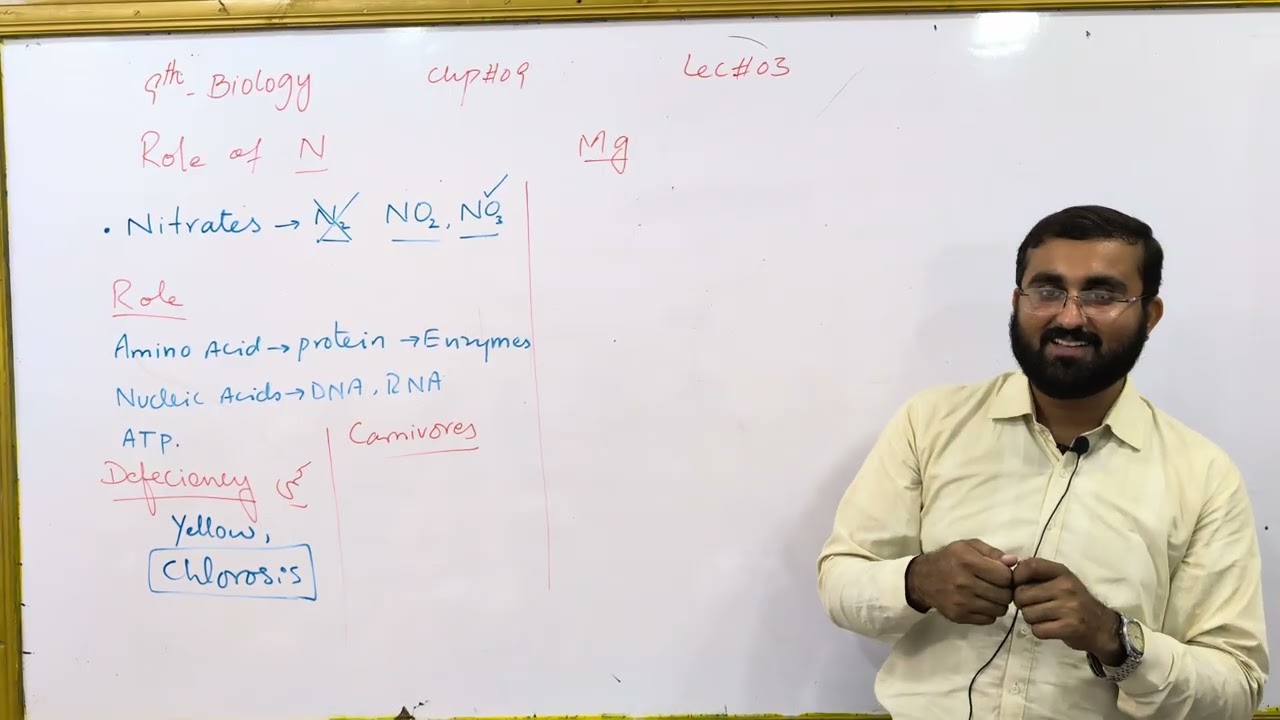 Роль азота и магния chp9 lec3