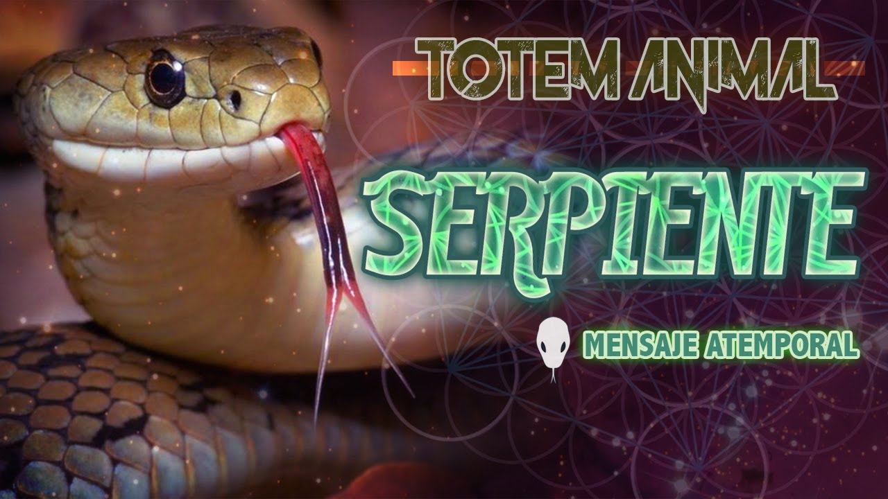 ⚫Totem Espiritu Animal de Poder | ⭐Serpiente - Transmutación | Que Significa & Mensaje | Soullky