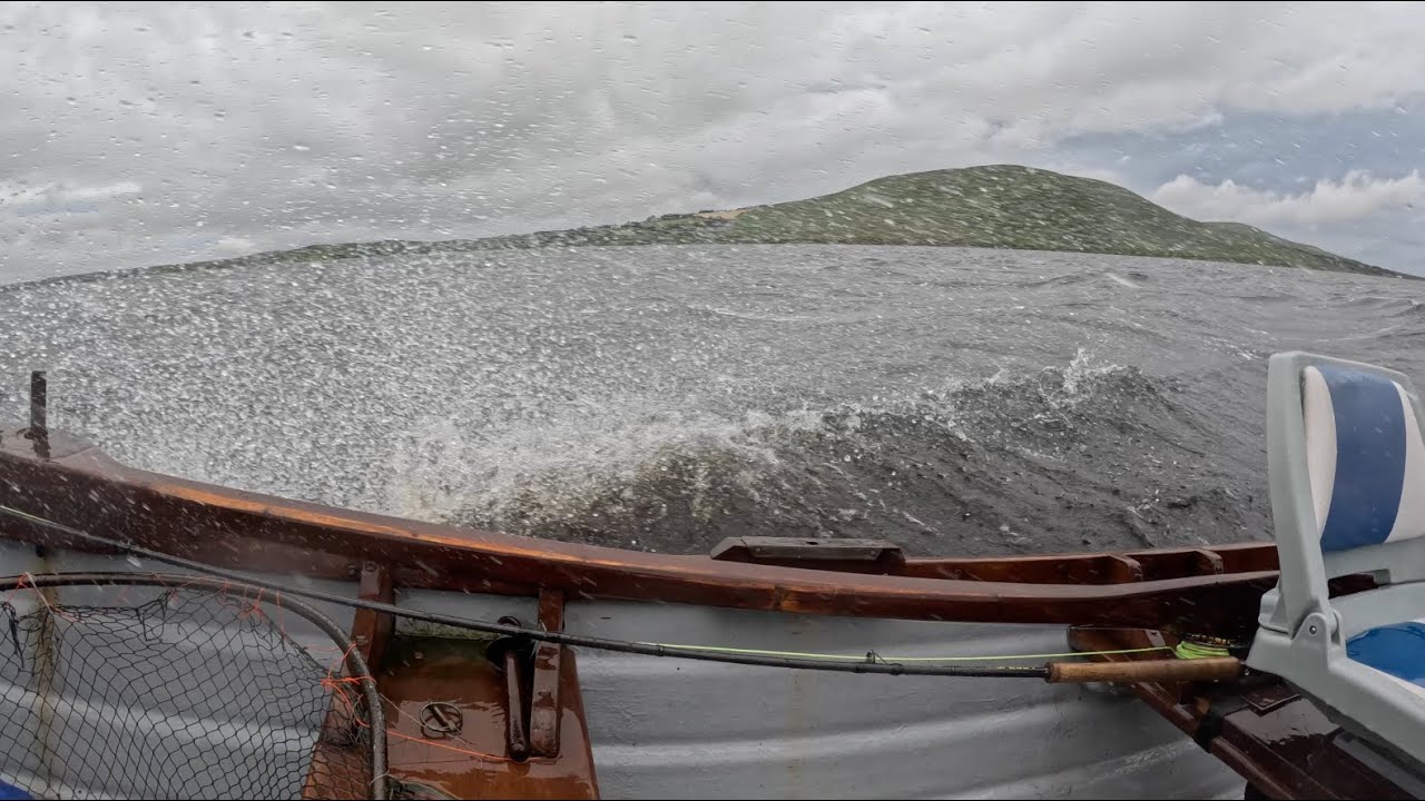 Salmon and sea trout fishing in wild Mayo