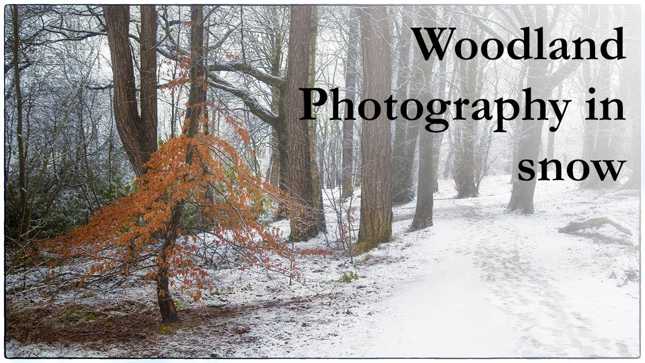 Walk in the snow, Drumpellier Park, Coatbridge