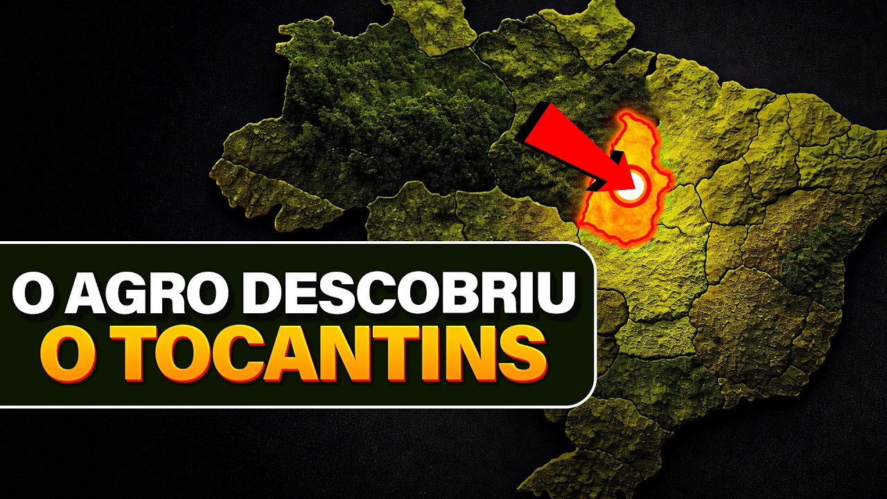 TOCANTINS: O NOVO PROTAGONISTA DO AGRONEG&Oacute;CIO BRASILEIRO