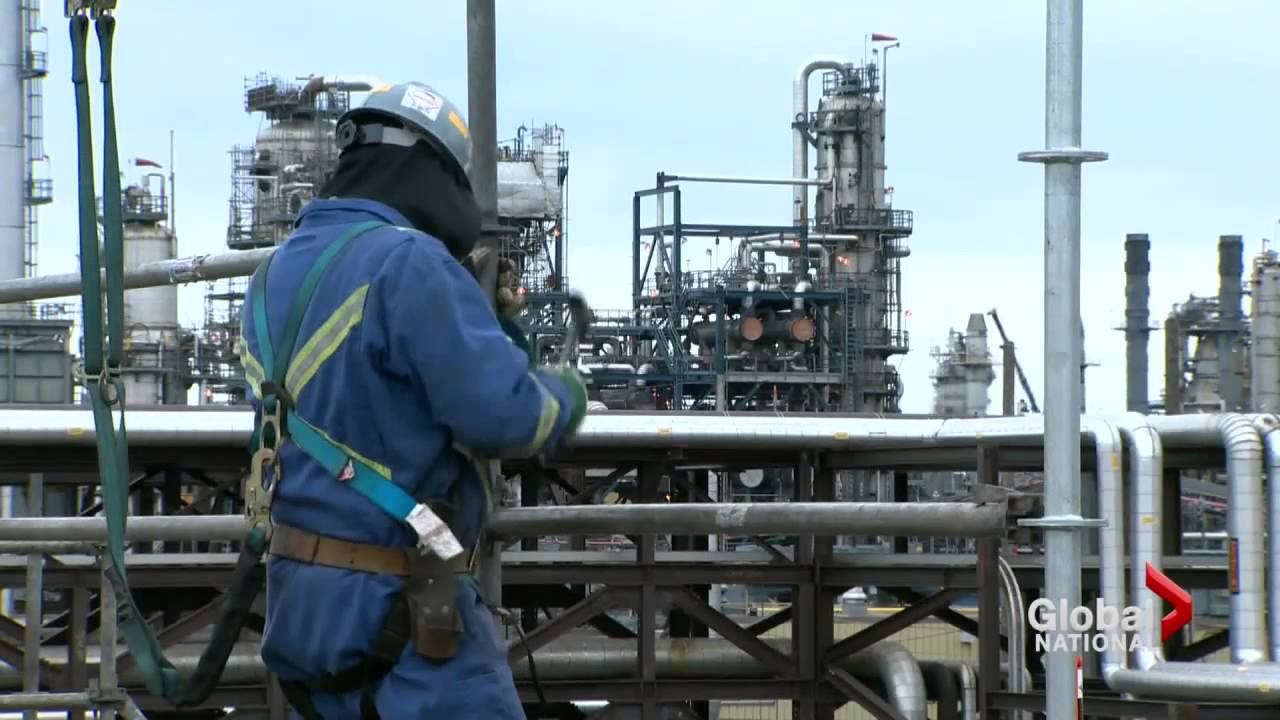Bear kills Fort McMurray worker