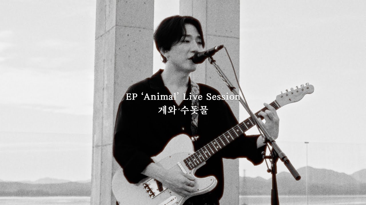쏜애플(THORNAPPLE) - '게와 수돗물' (Crab and Tap Water)