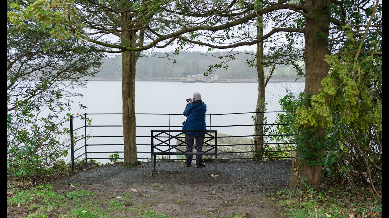 PLAS Newydd, HISTORIC house with a VIEW