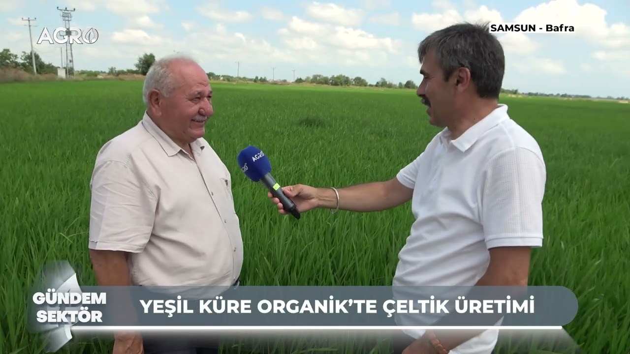 Organik soya fasulyesi &uuml;retimi / G&uuml;ndem Sekt&ouml;r
