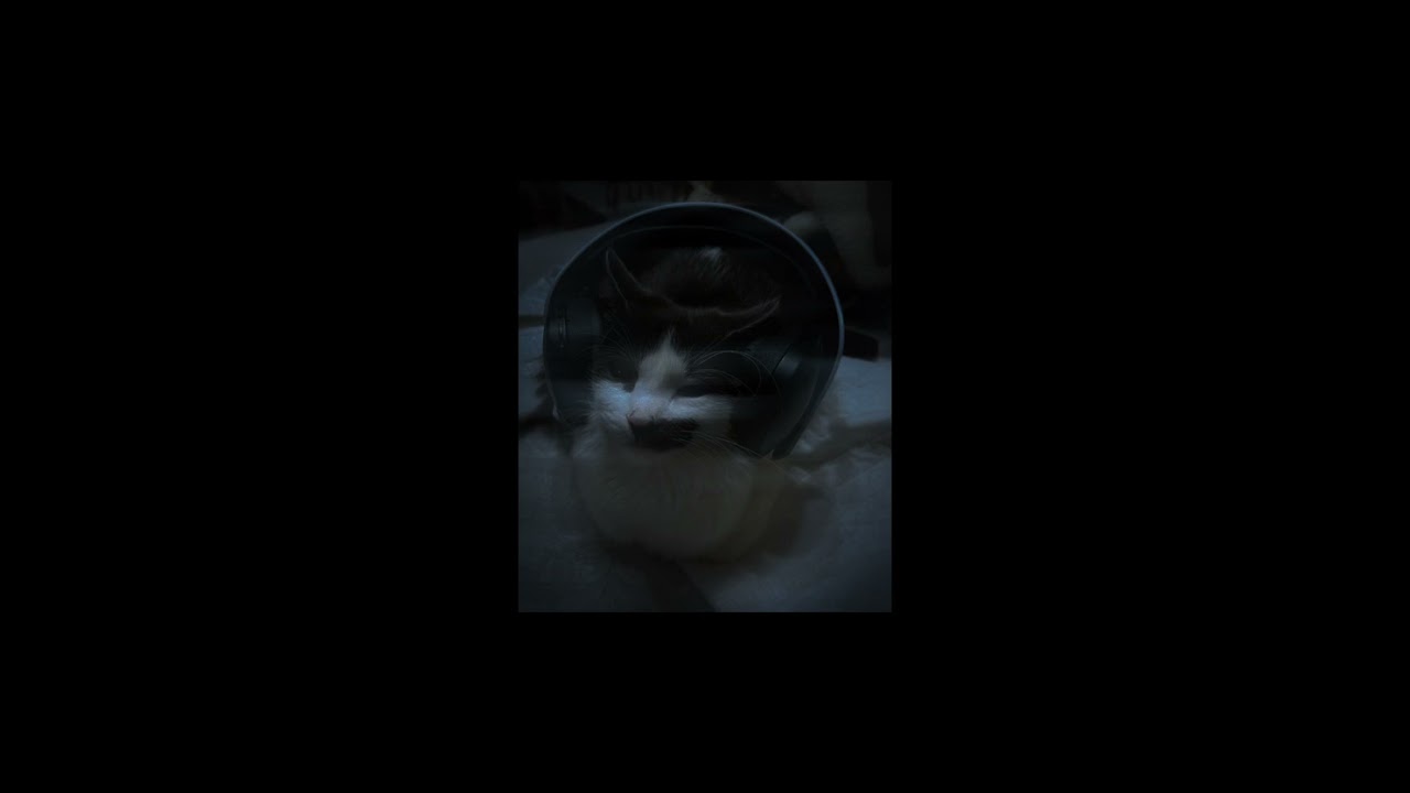 clovis reyes - fluxxwave sped up