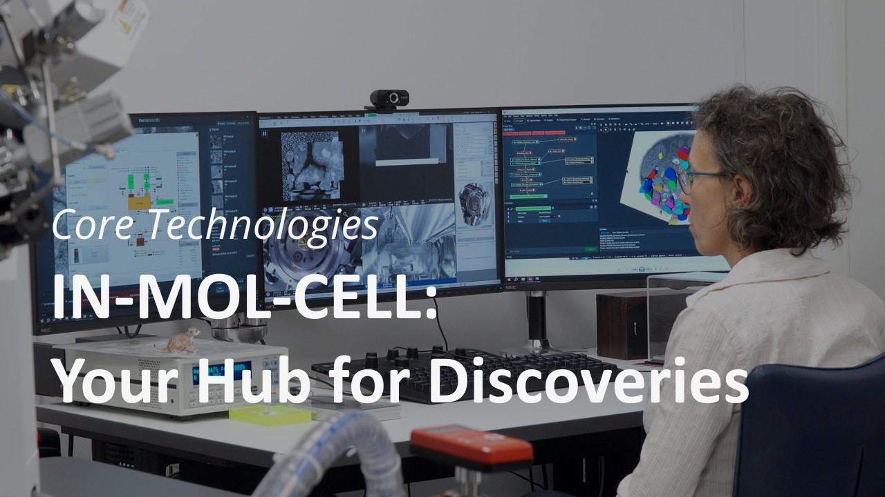 IN-MOL-CELL: Your Hub for Discoveries