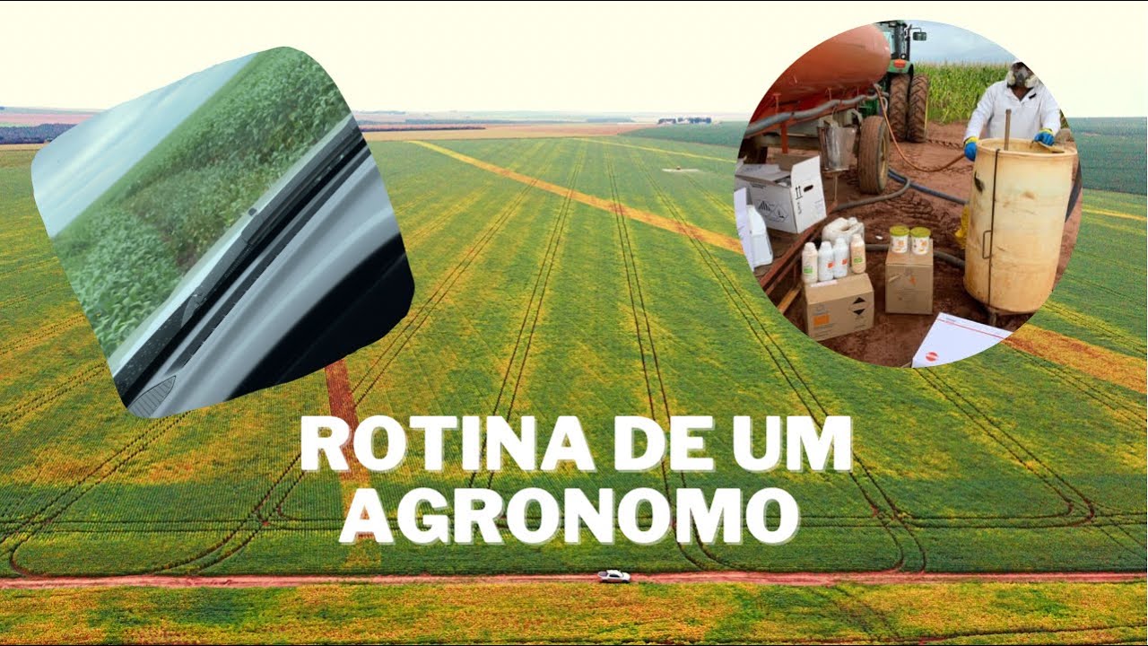 Rotina de um agrônomo na área comercial!