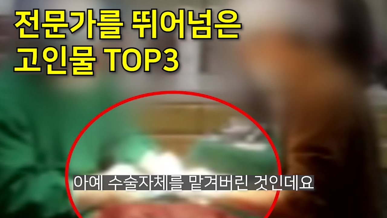 전문가를 뛰어넘은 고인물 TOP3