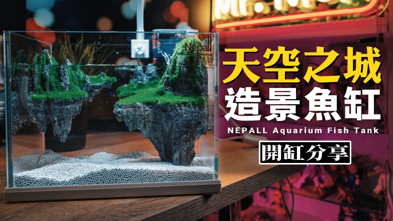 超美的天空之城魚缸！幫鬥魚換大房子了！｜Nepall造景魚缸｜Aquarium Fish Tank｜開箱分享｜Nick老師