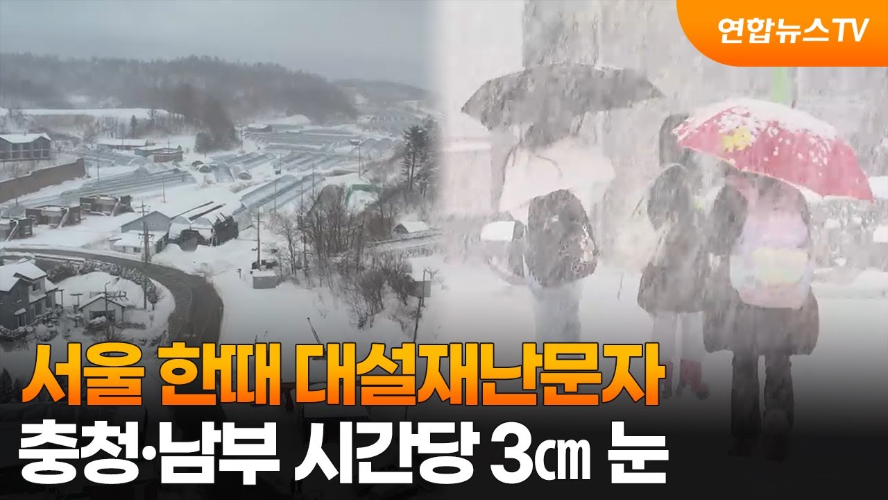 서울 한때 대설재난문자…충청·남부 시간당 3㎝ 눈 / 연합뉴스TV (YonhapnewsTV)