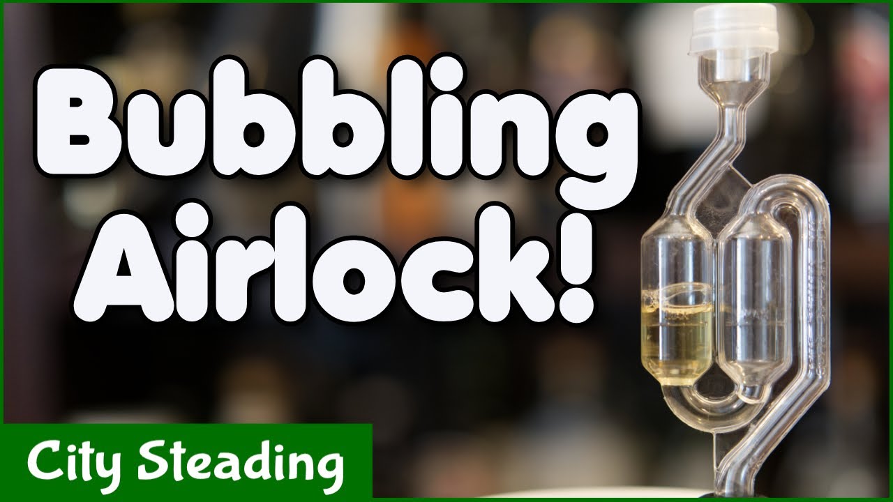 Watch an Airlock Bubbling During Mead Fermentation - Entertainment for Brewers