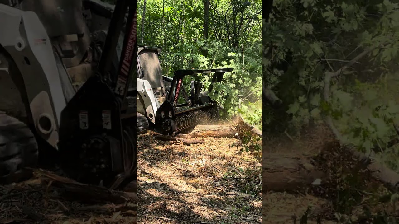 Bobcat T770 & Denis Cimaf 180D | Forestry Mulching