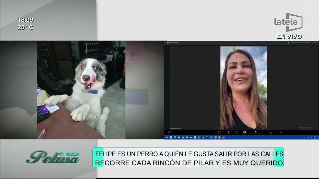 Felipe, el perro viral de Pilar reconocido por los vecinos en la ciudad. Natalia Dos Santos, dueña