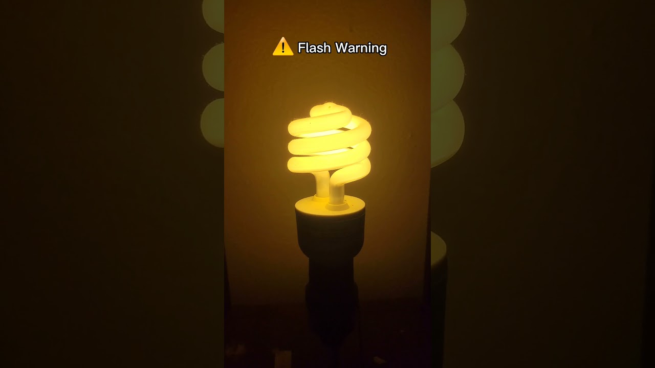 Here's why all house lights technically flicker. 