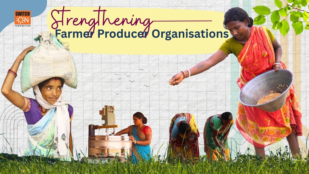 Scaling Up Farmer Collectives | SwitchON Foundation