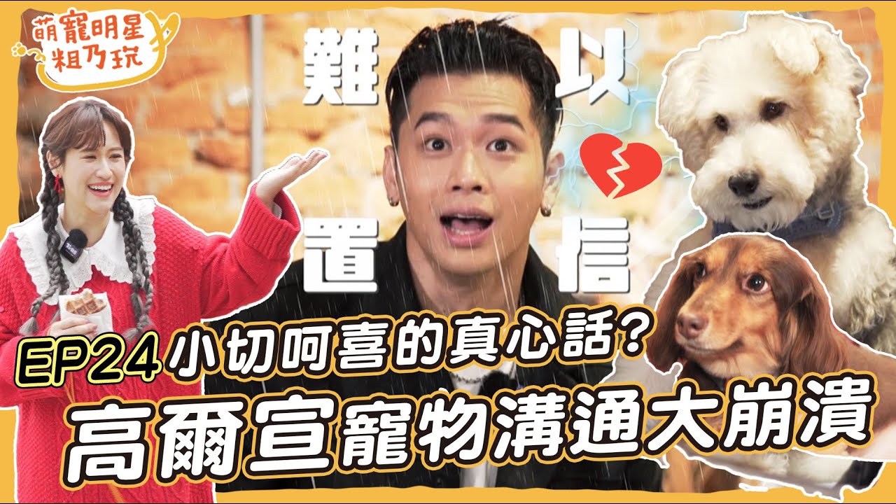 [SUB]EP24 高爾宣OSN 剛毛小切粗乃玩！ 寵物溝通曝真相 主人們大崩潰！ 呵喜小迷妹上線啦【 萌寵明星粗乃玩 】@haveapetday Sandy 吳姍儒