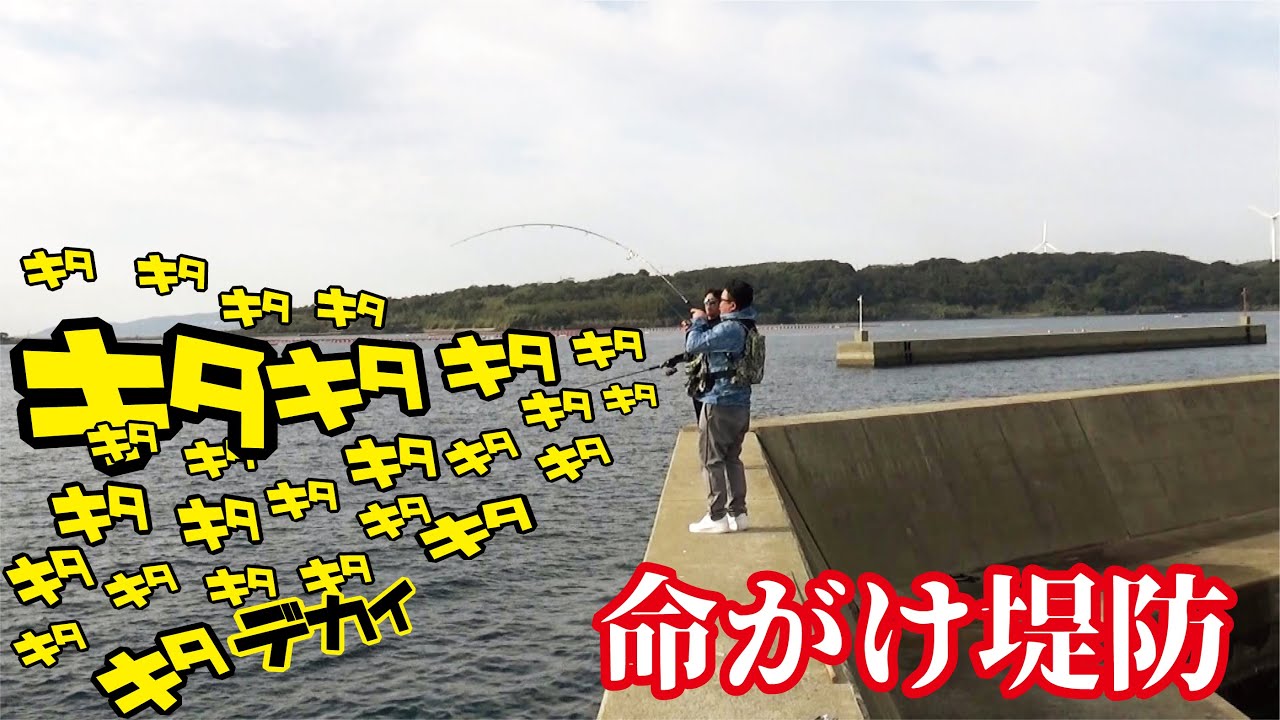 キタキタキタ～秋の堤防から命がけとにかくでかいの出てきた（620話目）