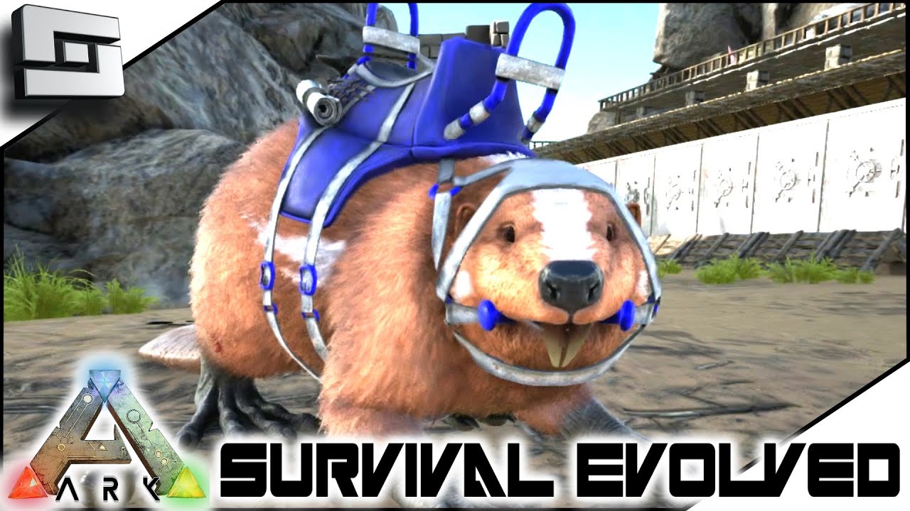 ARK: Survival Evolved - BATTLE BEAVER! S3E62 ( Gameplay )