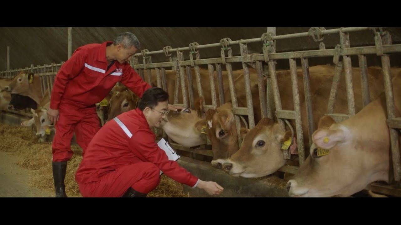 Lucta Feed Additives Division SUBTITLES