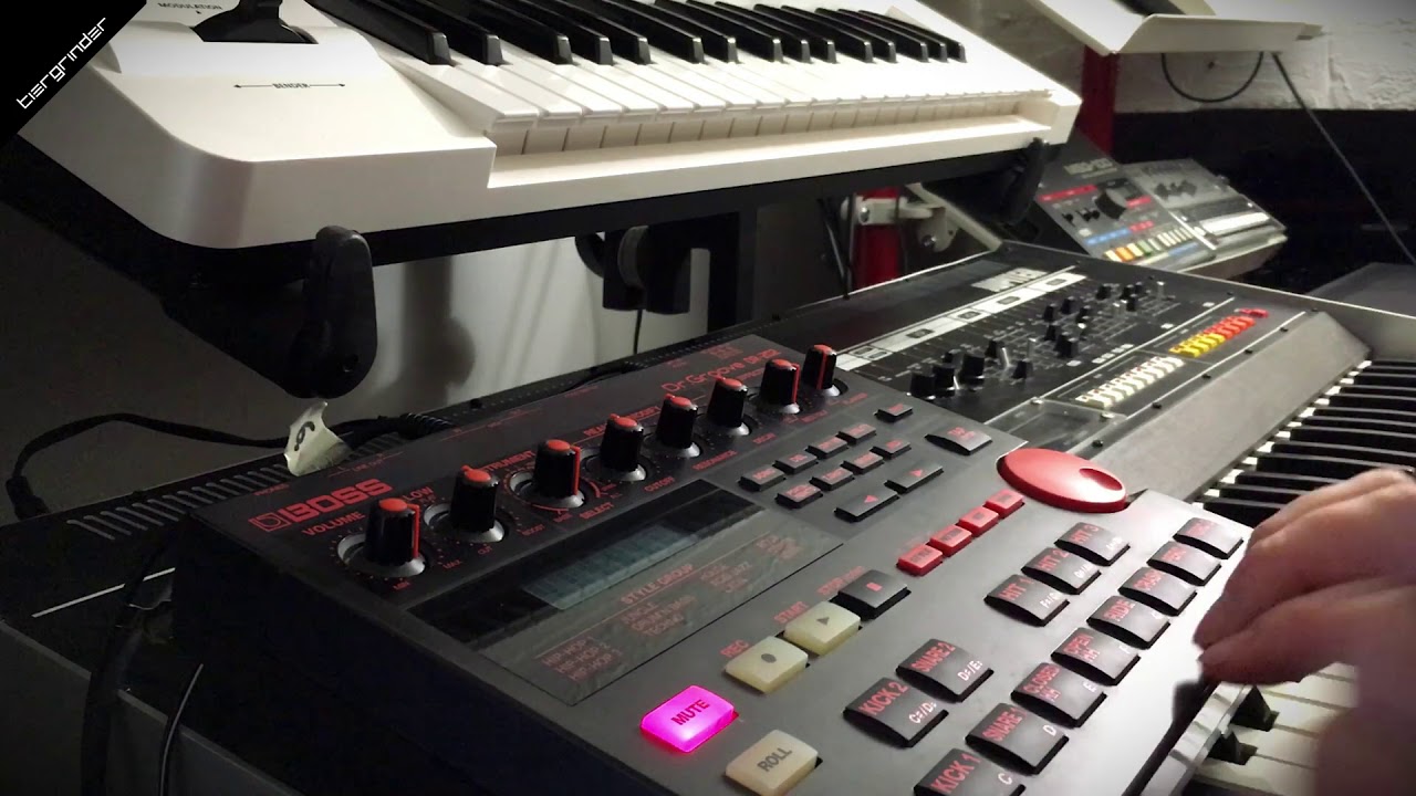 Boss DR-202 
