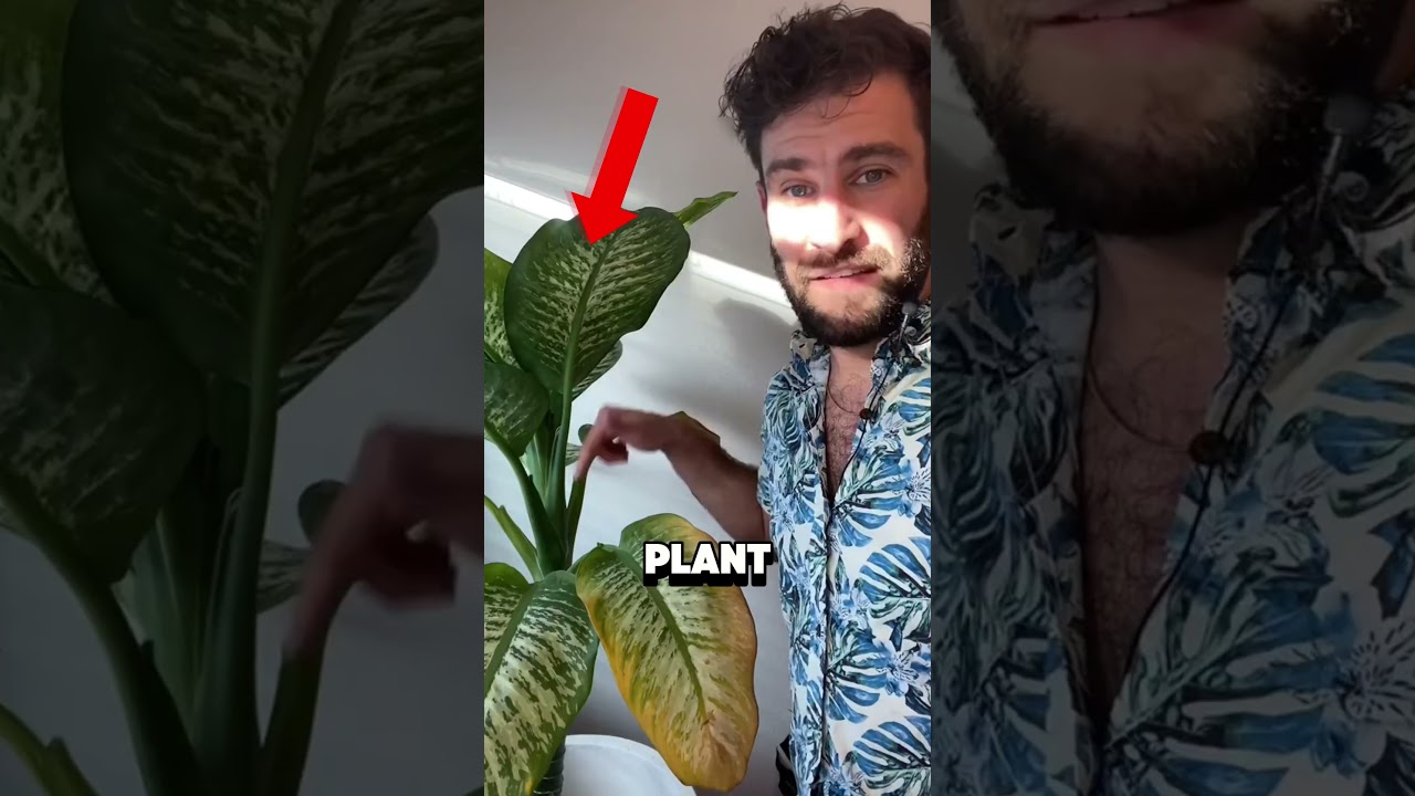 Worlds most DANGEROUS plant!🌱