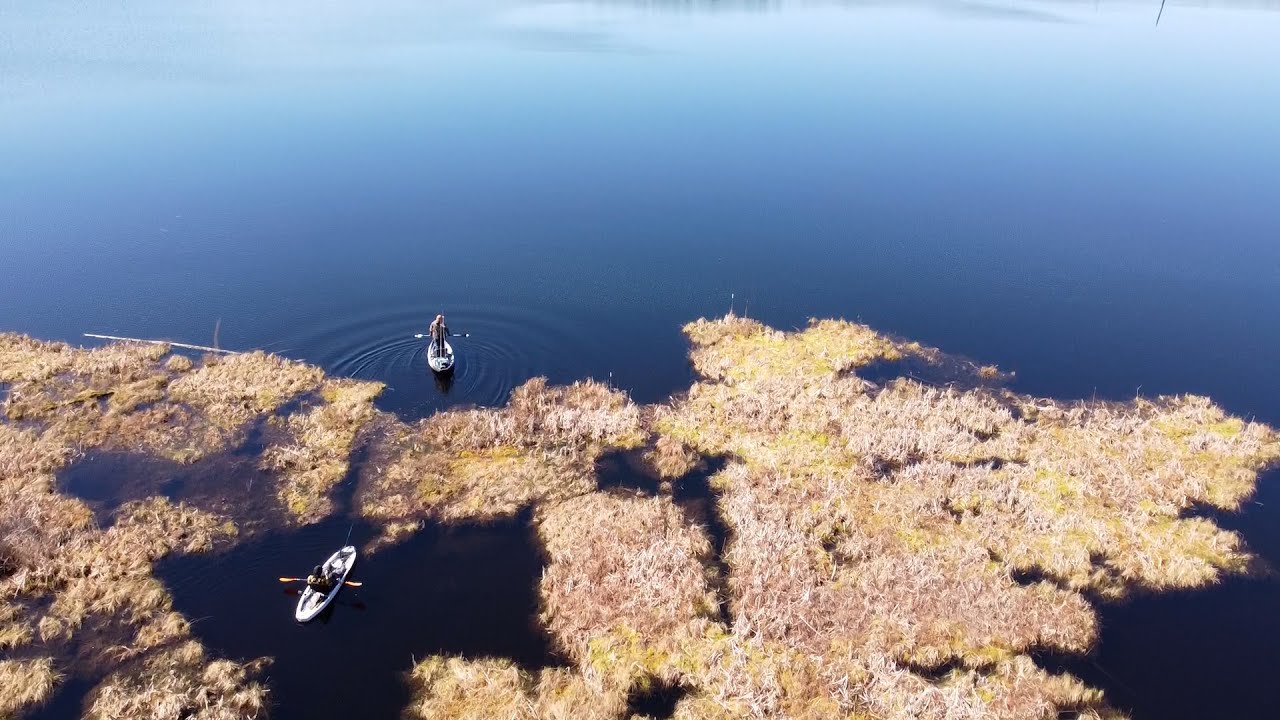 Kayak Bass Fishing a Shallow Marsh (Spring Spinnerbait Largemouth)
