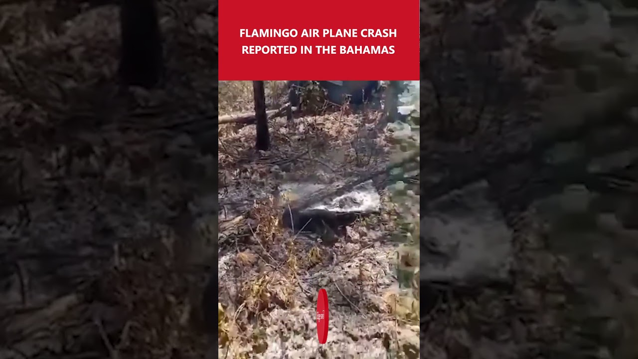 Flamingo Air Plane Crashes Near North Andros Airport Search Operation Underway