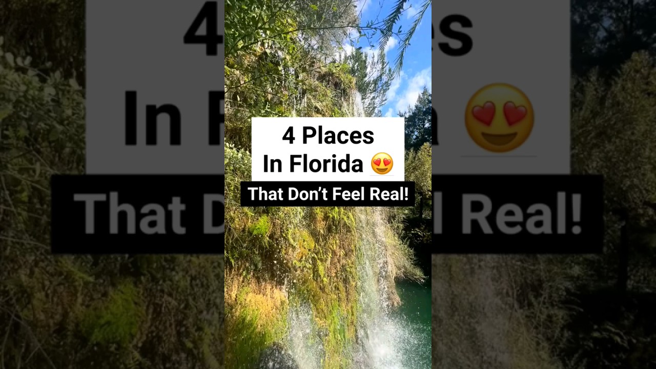 📍 Amazing Places in Florida 😍 #florida #visitflorida #travel #floridaadventures #traveltips #nature