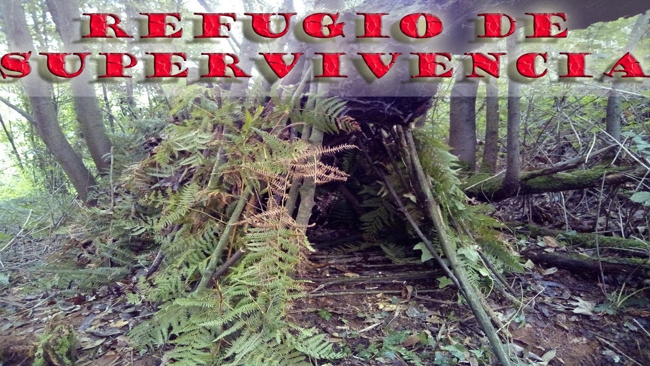 Cómo hacer un REFUGIO de SUPERVIVENCIA