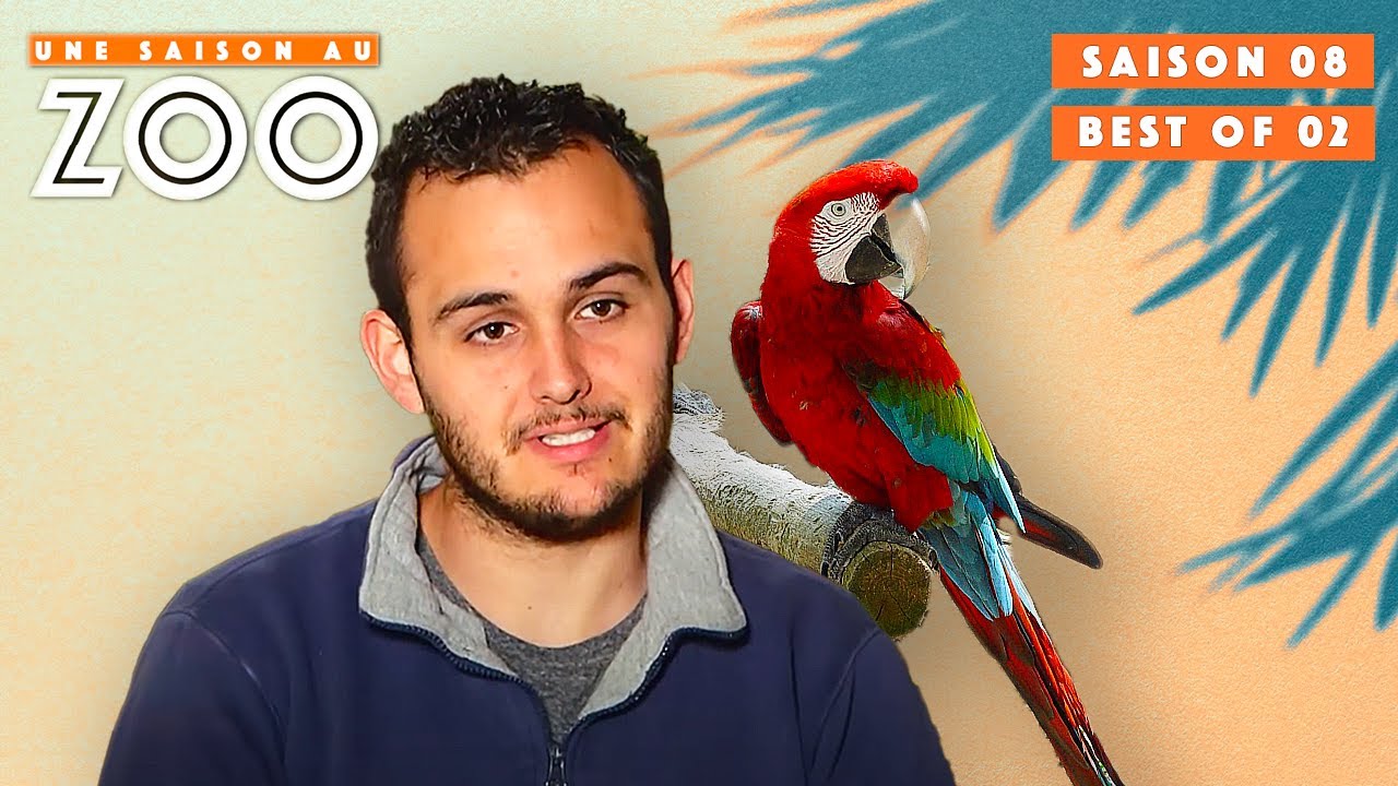 Les Meilleurs Moments de la Saison 8 ! Partie 2 | S08EP58 | Émission Intégrale | Une Saison Au Zoo