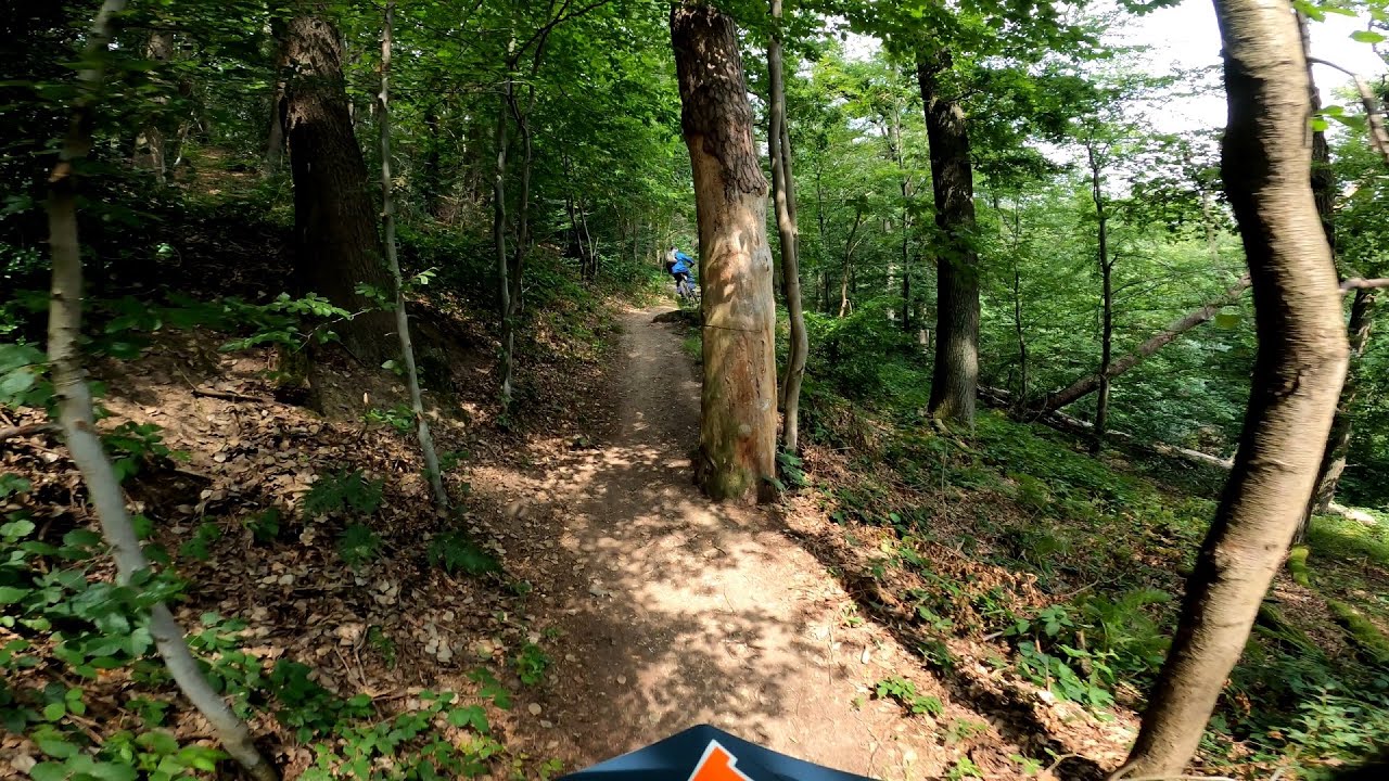 MTB Trails Sauerland / Arnsberg / Neheim in 4K #55