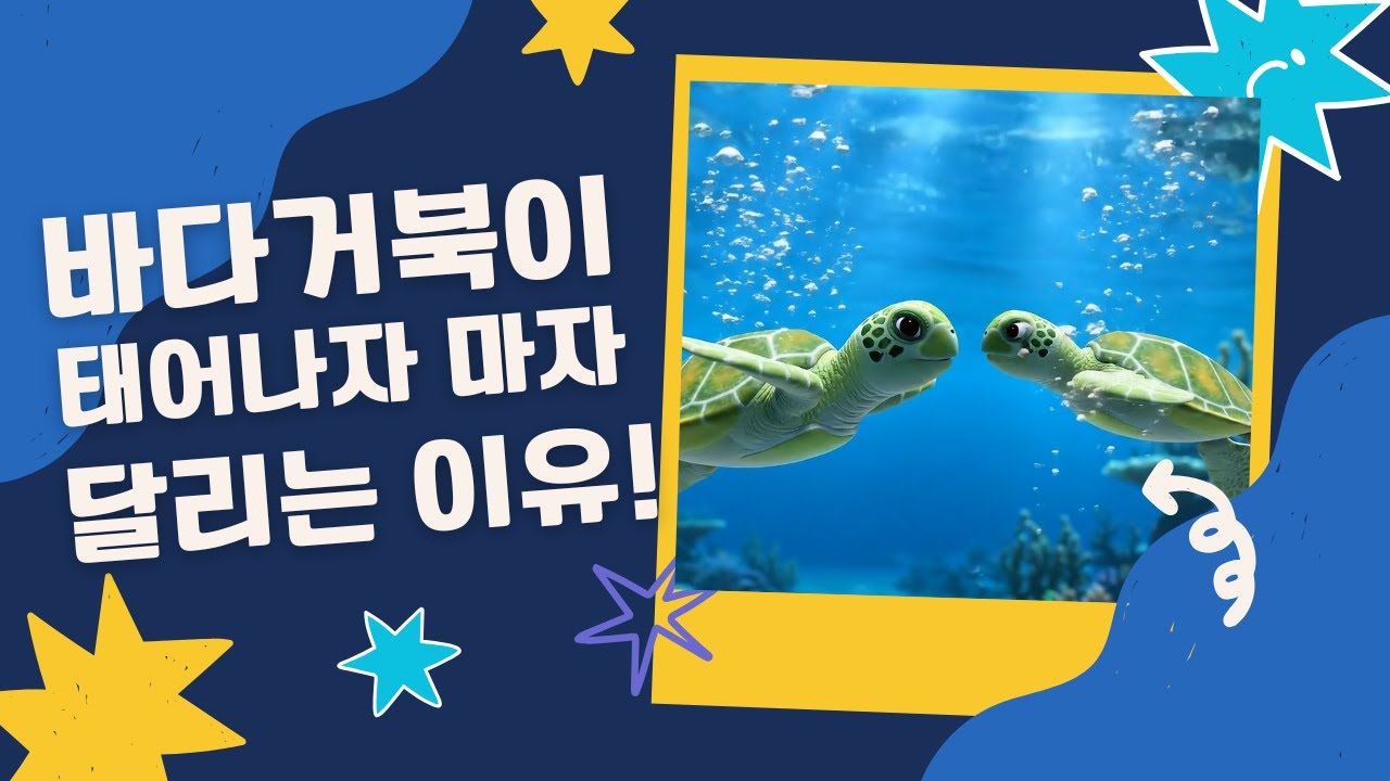 [동물 이야기] 달려야 살아남는다! 바다거북의 첫 여정 | 어린이 교육 애니메이션